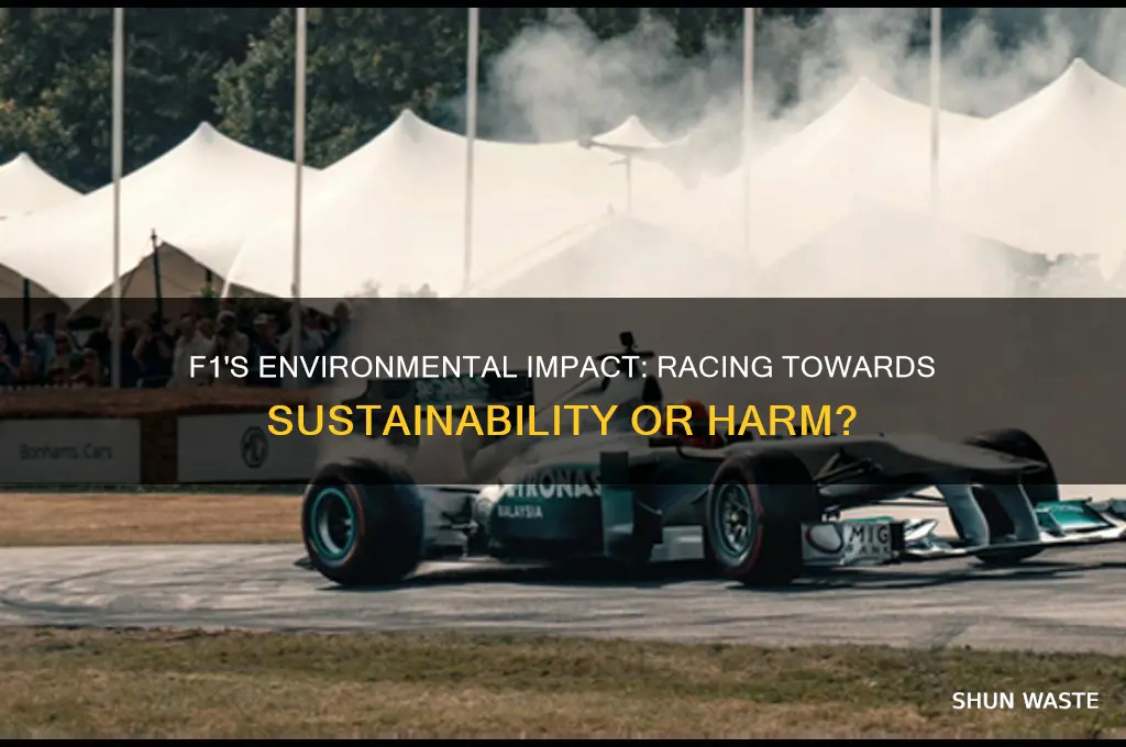 is f1 bad for the environment