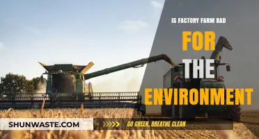 Factory Farming's Environmental Impact: Harmful Practices and Sustainable Alternatives
