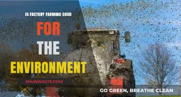 Factory Farming's Environmental Impact: Sustainable Solution or Ecological Disaster?