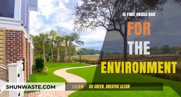 Is Fake Grass Eco-Friendly? Uncovering the Environmental Impact of Artificial Turf