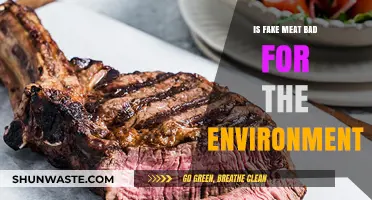 Is Fake Meat Eco-Friendly? Uncovering Its Environmental Impact and Sustainability