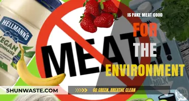 Is Fake Meat Eco-Friendly? Uncovering Its Environmental Impact and Benefits