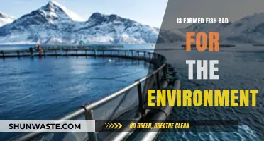 Farmed Fish Environmental Impact: Sustainable or Harmful for Our Planet?