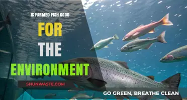 Is Farmed Fish Eco-Friendly? Uncovering the Environmental Impact