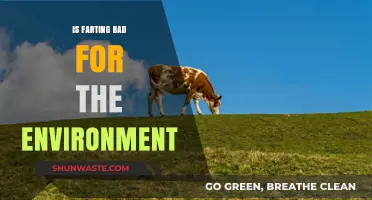 Does Farting Harm the Environment? Surprising Facts Revealed