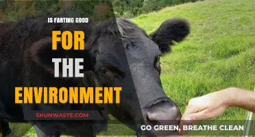 Farting's Eco-Impact: Unraveling the Surprising Environmental Benefits of Passing Gas