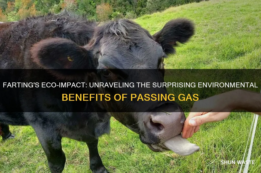 is farting good for the environment