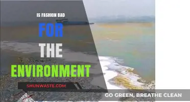 Fashion's Environmental Impact: Unraveling the Cost of Style and Trends