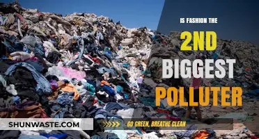 Fashion's Pollution Problem: The Ugly Truth