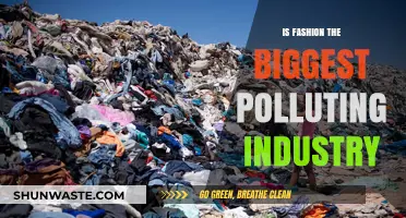 Fashion's Pollution Problem: Who's to Blame?