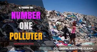 Fashion's Dark Side: The Pollution Problem