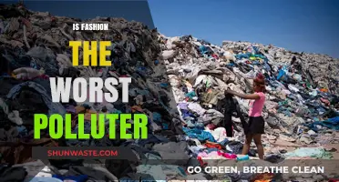 Fashion's Dark Side: The Ugly Truth About Pollution