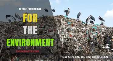 Fast Fashion's Environmental Impact: Unraveling the Hidden Costs of Trends
