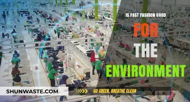 Fast Fashion's Environmental Impact: Sustainable or Harmful Trend?