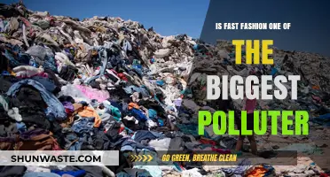 Fast Fashion's Dark Side: Polluting the Planet
