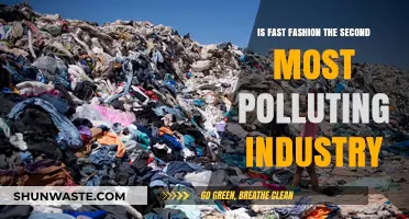 Fast Fashion: A Polluting Industry's Dark Secrets