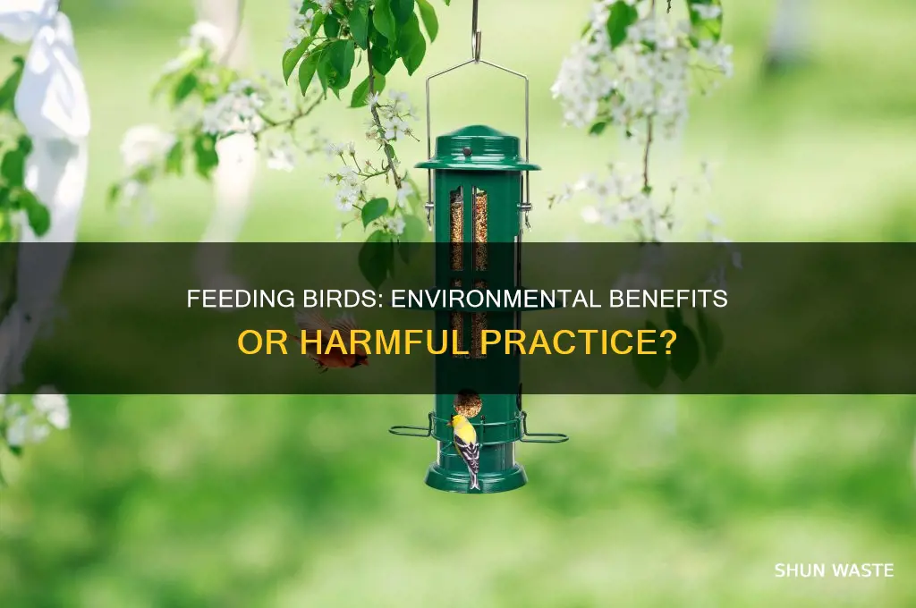 is feeding birds good for the environment