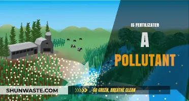 The Fertilizer Pollution Paradox: Boon or Bane?