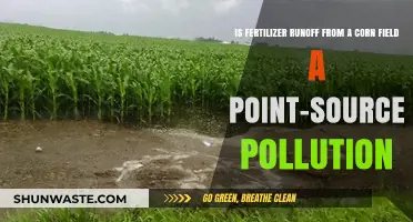 How Corn Fields Contribute to Point-Source Pollution