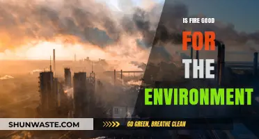 Fire's Environmental Impact: Harmful or Beneficial for Ecosystems?
