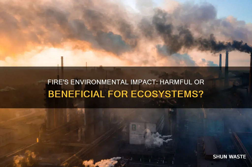 is fire good for the environment