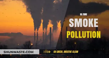 Fire Smoke: A Silent Killer in Our Midst