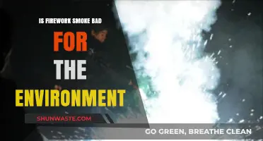 Firework Smoke: Environmental Impact and Sustainable Celebration Alternatives