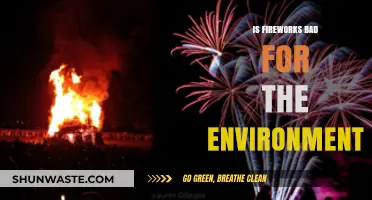 Fireworks' Environmental Impact: Pollution, Wildlife, and Sustainable Alternatives Explored