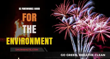 Fireworks' Environmental Impact: Celebrating Safely or Harming Nature?