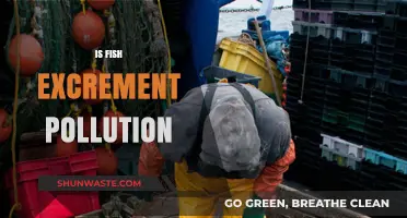 Fish Excrement: Pollution or Natural Process?