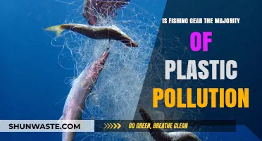 Fishing Gear: Plastic Pollution's Main Culprit?
