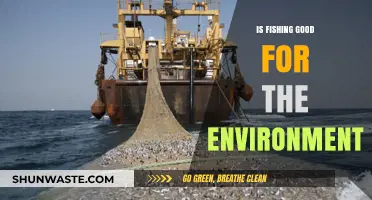 Fishing's Environmental Impact: Sustainable Practices vs. Ecological Concerns