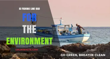 Fishing Line's Environmental Impact: Harmful Effects and Sustainable Alternatives