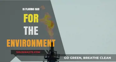 Is Flaring Harmful? Environmental Impact and Sustainable Alternatives Explained