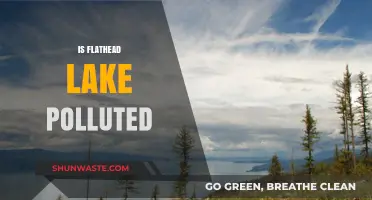 The Pollution Problem of Flathead Lake