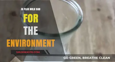 Is Flax Milk Eco-Friendly? Environmental Impact Explained
