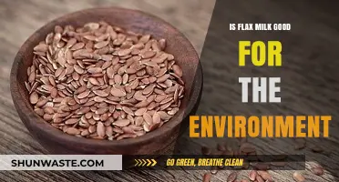Is Flax Milk Eco-Friendly? Exploring Its Environmental Impact and Benefits
