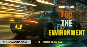 Flex Fuel's Environmental Impact: Sustainable Solution or Greenwashing?