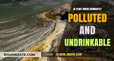 Flint River: Polluted and Undrinkable?