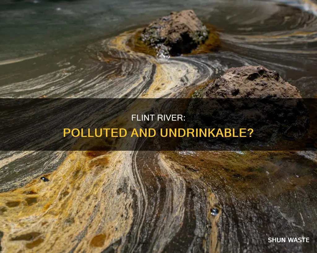 is flint river currently polluted and undrinkable
