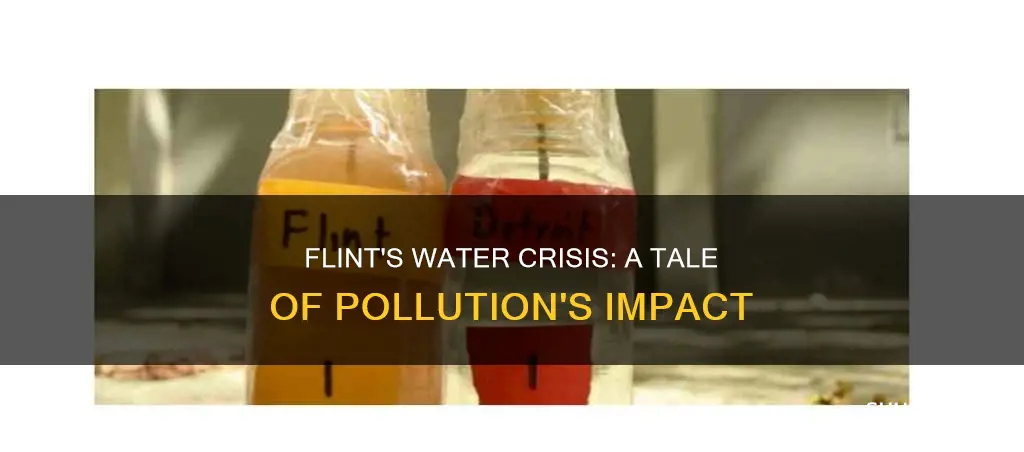 is flint water an effect of pollution