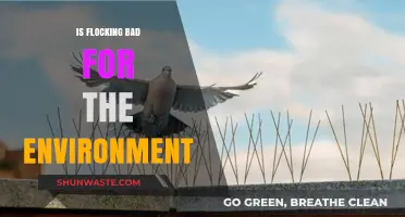 Flocking's Environmental Impact: Sustainable Practice or Ecological Threat?