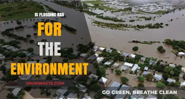 Flooding's Environmental Impact: Harmful Consequences or Natural Balance?