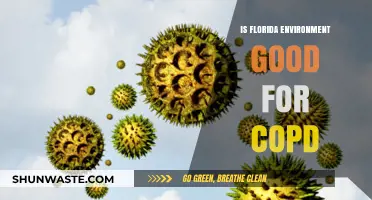 Florida's Climate: A COPD-Friendly Environment or Potential Risk?