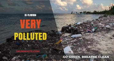 Florida's Pollution Problem: Is It Getting Worse?