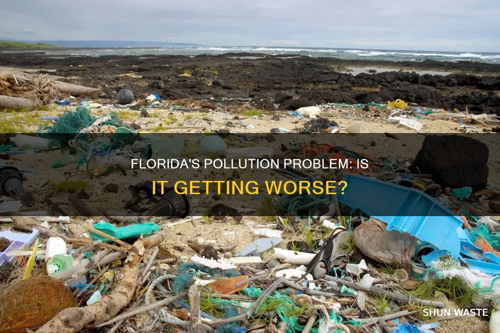 is florida very polluted