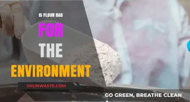 Flour's Environmental Impact: Sustainable Choices for a Greener Kitchen