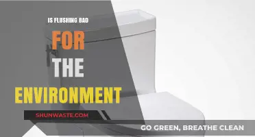 Is Flushing Eco-Friendly? Uncovering the Environmental Impact of Flushing
