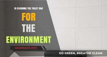 Flushing Habits: Environmental Impact and Sustainable Toilet Practices Explored