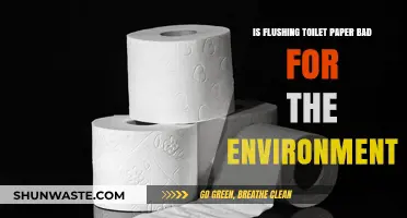 Is Flushing Toilet Paper Eco-Friendly? Uncovering the Environmental Impact